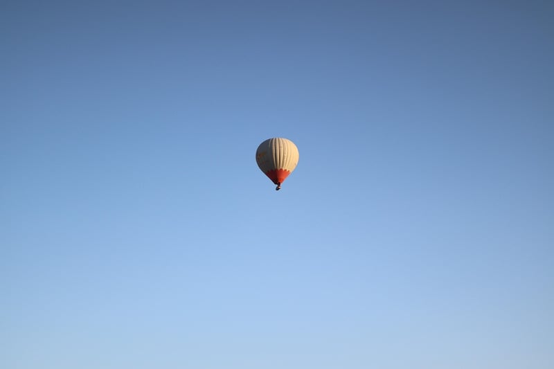 Safari experiences